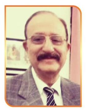 Mr. Chetan Kak